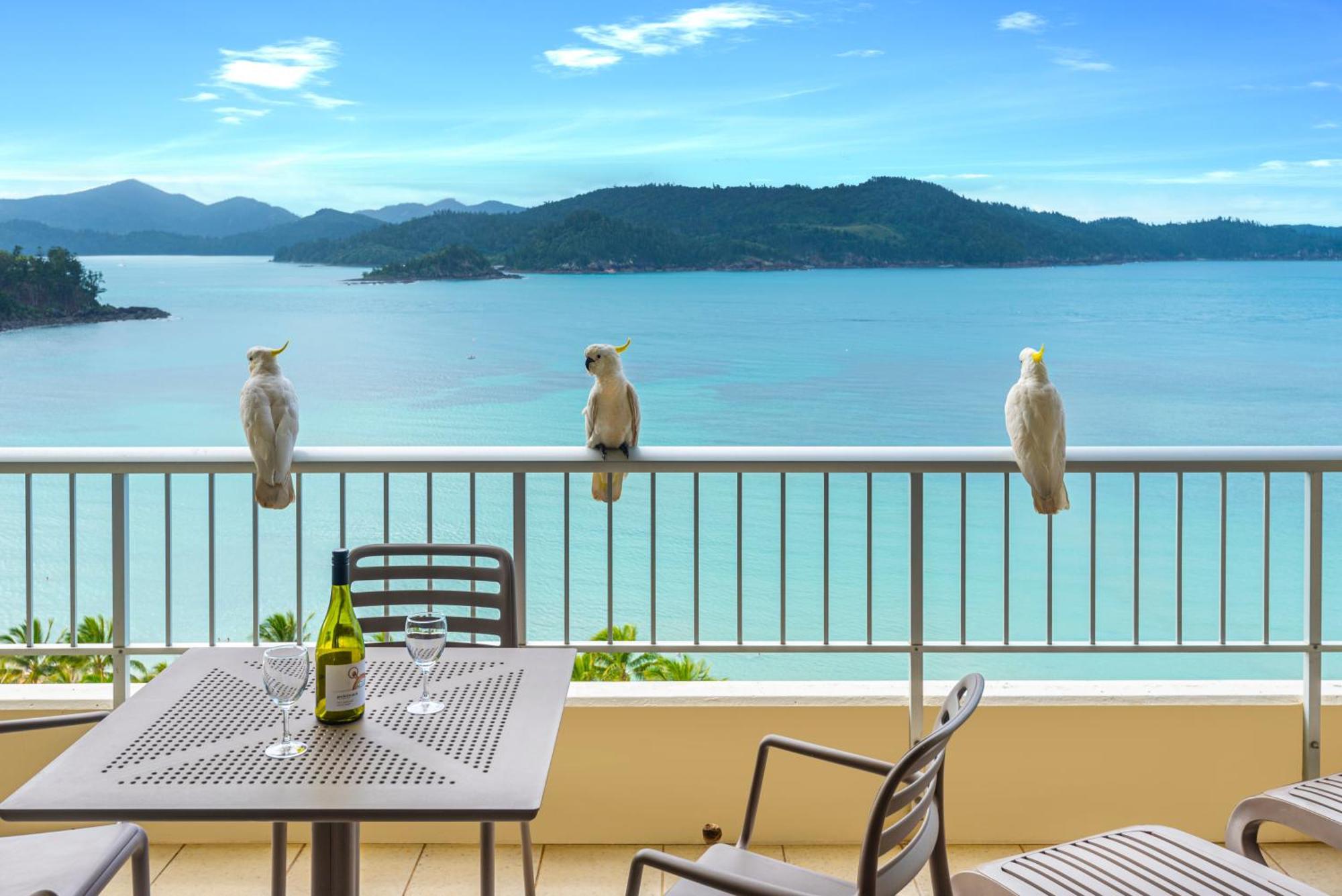 Whitsunday Apartments On Hamilton Island By Hiha Zewnętrze zdjęcie